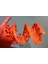 Dna Oyun Seti (Plastik Aparattır!!!) 3D 3