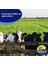 Elanco Agita 10 Wg 100 G 7