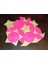 Penrose Fayans (Uçurtma ve Dart) (Sadece Plastik Aparattır!!!) 3D 2