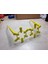 Güneş Işığı Gözlükleri (Plastik Aparattır!!!) 3D 5