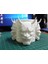 Hayalet Kafa Yüzüğü + Dört Taraflı Hayalet Kafa Kalemi Tutucu (Plastik Aparattır!!!) 3D 3