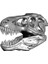 T-Rex Kafatası Topper (7 $ Baston/yürüyüş Çubukları) (Sadece Plastik Aparattır!!!) 3D 1