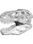 T-Rex Kafatası Topper (7 $ Baston/yürüyüş Çubukları) (Sadece Plastik Aparattır!!!) 3D 2