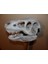 T-Rex Kafatası Topper (7 $ Baston/yürüyüş Çubukları) (Sadece Plastik Aparattır!!!) 3D 5