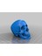 Kafatası Boncukları (Sadece Plastik Aparattır!!!) 3D 3