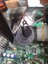 Xbox Soğutma Modu (Sadece Plastik Aparattır!!!) 3D 5