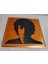 Bob Dylan Plakası (Sadece Plastik Aparattır!!!) 3D 5