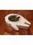 Millennium Falcon Candy Cans ile Uydu Kaşıkla #countertopchallenge (Sadece Plastik Aparattır!!!) 3D 3