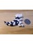 Flexi Dino Keychain Remix (Sadece Plastik Aparattır!!!) 3D 1