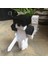 Minecraft Steve (Sadece Plastik Aparattır!!!) 3D 1