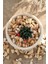 Sarı Çizgili Dolomit Taşı 6 Kg, Bahçe, Dere, Akvaryum Için Doğal Taş 1
