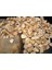 Sarı Çizgili Dolomit Taş 2 Kg, Bahçe Dekor, Süs ve Çakıl Taşı, 1,5-2,5 cm 3