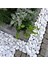 Beyaz Dolomit Taş 3 kg 4-6 cm Bahçe ve Dekor Için Doğal Çakıl Taşı 1