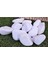 Beyaz Dolomit Taş 3 kg 4-6 cm Bahçe ve Dekor Için Doğal Çakıl Taşı 2