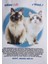 Kedi Baskılı Beyaz Tişört 1613098-620 7