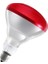 250 Watt Infrared Ampul Kırmızı 1