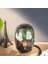 T&amp;g TG529 Kablosuz Wireless Bluetooth 5.0 Speaker HOPARLÖR-(5775) - EMY8707-7857 2
