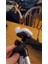 Microsoft Xbox Kinect Tutucu ve Tripod Bağlantısı 3D 4