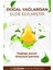 Sandal Ağacı Çubuklu Oda Kokusu Bambu Kokusu Sandal Wood Reed Diffuser 50ml 3