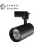 Noas YL29 4002 Siyah Kasa Lyon 40W Ray Spot 3200K Gün Işığı 1