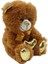 Lider Global 62500 Parlak Kalpli Peluş Ayı 30 cm 3
