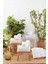 Organik Pine Banyo Havlusu 90X150 cm 1