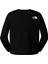 Kadın L/s Sımple Dome Crop T-Shirt NF0A89FKJK31 2