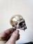 Vampir Kafatası (Plastik Aparattır) 3D 4