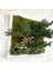Bonsai Temalı Doğal Yosun Duvar Panosu | 30X30 cm | Gerçek Mantar & Ağaç Kabuğu ile El Yapımı Bakım Gerektirmeyen Bitki Sanatı 2