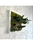 Bonsai Temalı Doğal Yosun Duvar Panosu | 30X30 cm | Gerçek Mantar & Ağaç Kabuğu ile El Yapımı Bakım Gerektirmeyen Bitki Sanatı 3