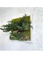 Bonsai Temalı Doğal Yosun Duvar Panosu | 30X30 cm | Gerçek Mantar & Ağaç Kabuğu ile El Yapımı Bakım Gerektirmeyen Bitki Sanatı 6
