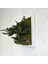 Bonsai Temalı Doğal Yosun Duvar Panosu | 30X30 cm | Gerçek Mantar & Ağaç Kabuğu ile El Yapımı Bakım Gerektirmeyen Bitki Sanatı 7