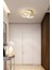 Holled Hol Koridor Giriş Için Modern Ledli Avize 1