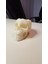 Kafatası Kabı (Plastik Aparattır) 3D 5