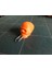 Paperclip (Kafatası Lisa) Kullanarak Fermuar Çekme (Plastik Aparattır) 3D 1