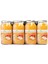 Elma Suyu 250 ml - 6'lı 2