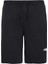 The Northface Erkek Şort Lıght-Eu NF0A3S4FJK31 1