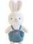 35CM Güneş Tavşanı Yatıştırıcı Bebek Bebek Uyur (Yurt Dışından) 1