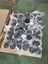 500351393 - Burc Lastik Sport Kabin - Iveco 3
