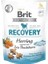 Brit Care Recovery Ringa Balıklı Köpek Ödül Maması 150 gr 1