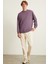 Ludım Erkek Mor Sweatshirt 2