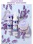 Footworks Lavanta Özlü Koku Önleyici Ayak Spreyi 100ML Ikili Paket 3