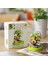 Aeonium Dıy Süs Montajlı Yapı Taşları Çocuk Oyuncakları Hediyeler (Yurt Dışından) 1