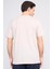 Çetinkaya Chester Polo 3864 Bisiklet Yaka 30/1 Penye Regular Baskılı T-Shirt Vizon 4