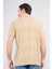 Çetinkaya Mentality 4230 Erkek Polo Yaka Jakarlı Interlok Regular T-Shirt Bej 4