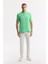 Erkek Neon Yeşil Regular Fit %100 Pamuk Hızlı Kuruyan Kıvrılmayan Polo Yaka T-Shirt B001032 5