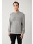 Erkek Gri Bisiklet Yaka Soft Touch Gofreli Sweatshirt A41y1235 3