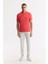 Erkek Kırmızı Regular Fit %100 Pamuk Hızlı Kuruyan Kıvrılmayan Polo Yaka T-Shirt B001032 5
