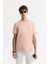 Erkek Pudra Regular Fit Bisiklet Yaka Baskılı Bi Stretch İnterlok T-Shirt A51Y1131 1