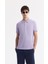 Erkek Lila Regular Fit %100 Pamuk Hızlı Kuruyan Kıvrılmayan Polo Yaka T-Shirt B001032 1